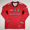 Palestine 2024-25 Green Floral Long Sleeves Jersey