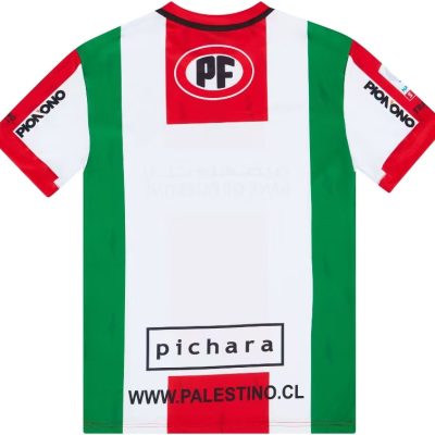 Alternative view of Palestine 2016-17 Black Jersey
