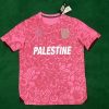 Palestine 2023/24 Camouflage Pink Jersey