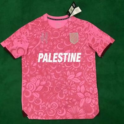 Palestine 2023/24 Camouflage Pink Jersey