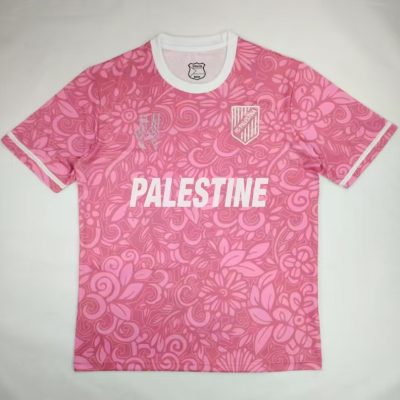 Palestinian Camouflage 2025 Pink Special Jersey