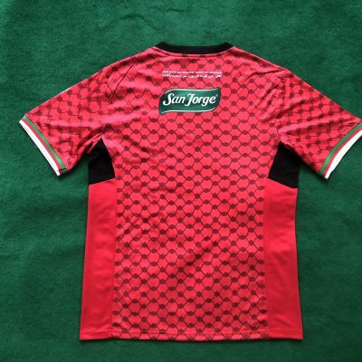 Alternative view of Palestine 2024 Red Jersey