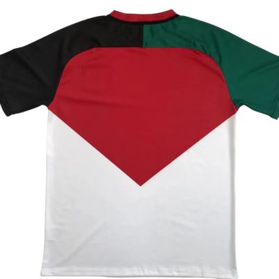 Alternative view of Palestinian 2024-25 Alestinian Football Jersey