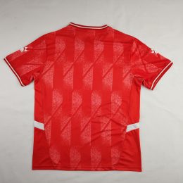 Palestine 2024/25 National Team Red Jersey