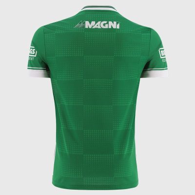 Laois GAA Player Fit Goalkeeper Jersey 2025