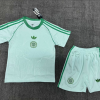 Celtic Ireland