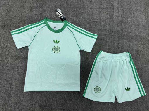 Celtic Ireland