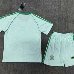 Celtic Ireland