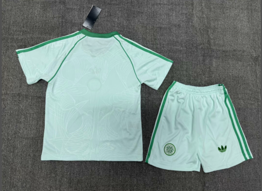 Celtic Ireland