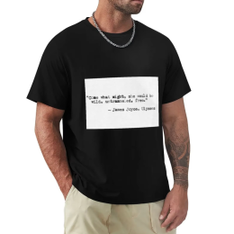 James Joyce Quote T-shirt