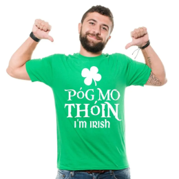 Póg Mo Thóin Irish Pride T-shirt