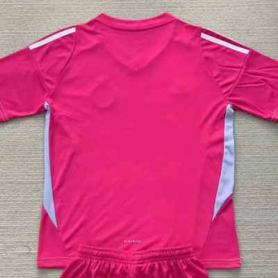 Celtic 2024-2025 Pink Goalkeeper Jersey