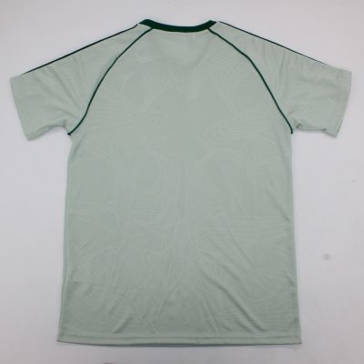 Celtic 2025-2026 Green Origin Jersey