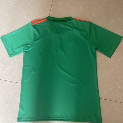 Celtic 2024 Green Polo Jersey