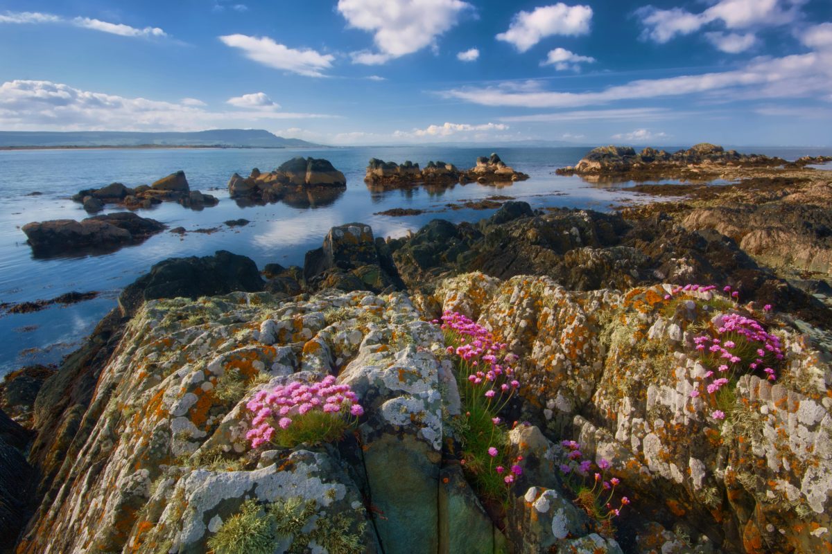 Mary Robinson's Fight for Justice in Ireland