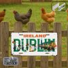 2D Flat Ireland Dublin Vintage Metal Sign – Retro Irish Streetscape Halloween Decorations