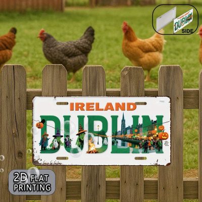 2D Flat Ireland Dublin Vintage Metal Sign – Retro Irish Streetscape Halloween Decorations