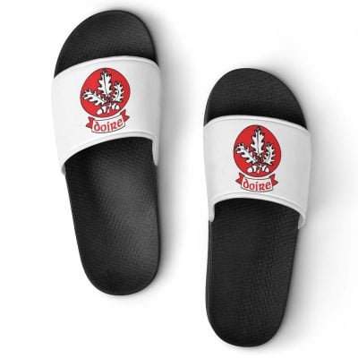 Derry GAA Sliders