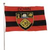 Down GAA Flag – County Colours and Crest