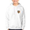 Down Kids GAA Hoodie