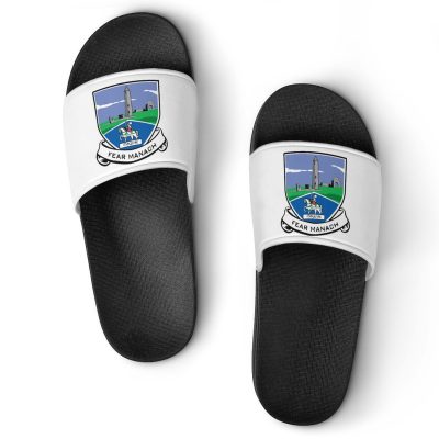 Fermanagh GAA Sliders