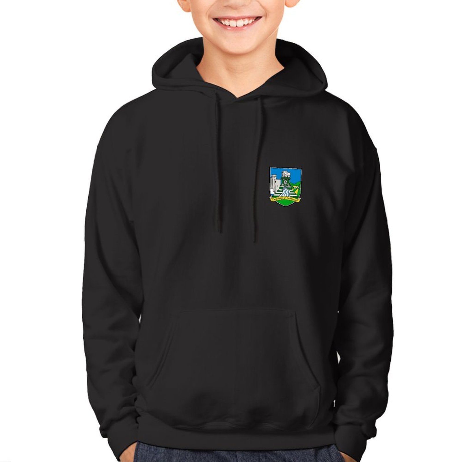 Limerick Kids GAA Hoodie – Official County Crest Limerick Kids GAA Hoodie