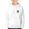 Limerick Kids GAA Hoodie