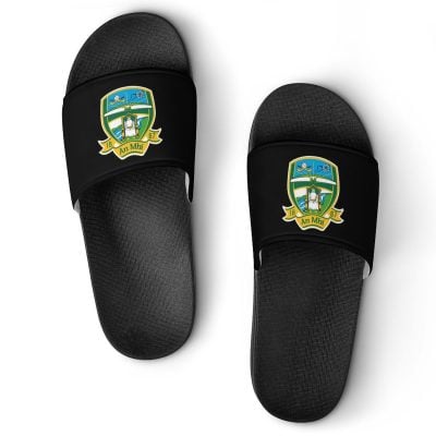 Meath GAA Sliders