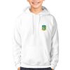Meath Kids GAA Hoodie