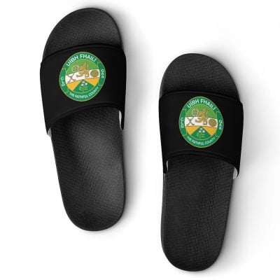 Offaly GAA Sliders
