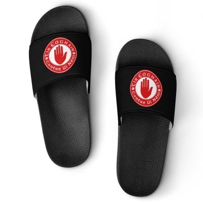 Tyrone GAA Sliders
