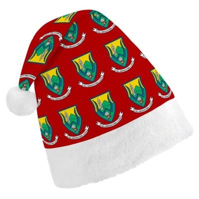 Wicklow GAA Irish Christmas Hat – County Crest Santa Hat