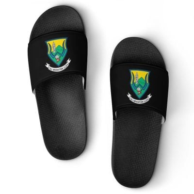 Wicklow GAA Sliders