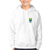 Wicklow Kids GAA Hoodie