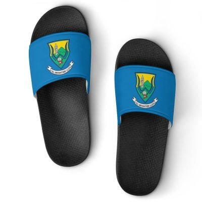 Wicklow GAA Sliders