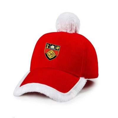 Down GAA Christmas Caps