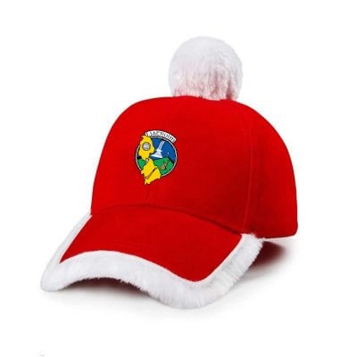 Christmas Caps