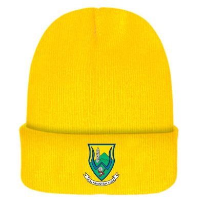 Wicklow GAA Beanies Wicklow GAA Beanies