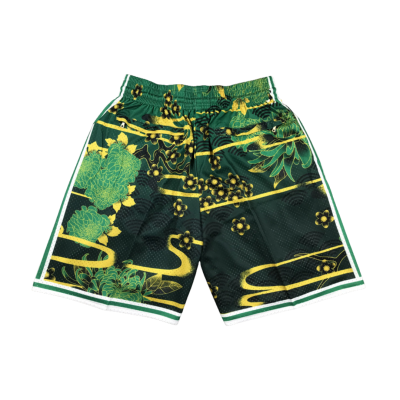 Boston Celtics Floral Print 2024-25 Green And Yellow Shorts (1)