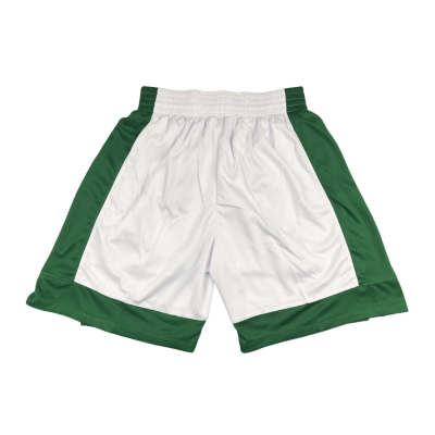 Boston Celtics Nike NBA Official Team 2020-21 Green And White Shorts (1)