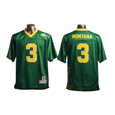 Notre Dame Fighting Irish Jersey Green And Gold - #3