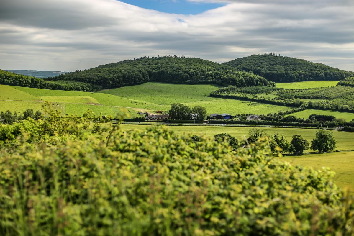 Ireland's Heartfelt Return of Famine Victims